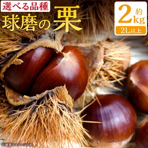 yӂ邳Ɣ[ŁzyIׂށz F{JA܎Y ̌I   {̕i 2kg (2Lȏ) 16000~ 16000~  N { ͂F2025N9{`10{