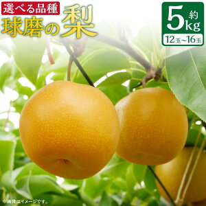 yӂ邳Ɣ[ŁzyIׂށz F{JA܎Y ̗ K L Â 5kg (12ʁ`16)  Ȃ  ʕ t[c { F{ 蒬 ͂F2025N8{`10{