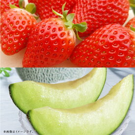 【ふるさと納税】【フルーツ2回定期便】 球磨のいちご（1kg）・アンデスメロン（5kg） ゆうべに 苺 イチゴ メロン めろん くだもの 果物 果実 フルーツ 冷蔵 熊本県産 国産 九州 熊本県 あさぎり町 送料無料 【2026年1月中旬～5月下旬迄順次発送予定】