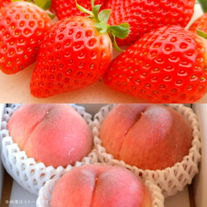 【ふるさと納税】【フルーツ2回定期便】 球磨のいちご(1kg)・桃(1kg) ゆうべに 苺 イチゴ もも モモ くだもの 果物 果実 フルーツ 冷蔵 熊本県産 国産 九州 熊本県 あさぎり町 送料無料 【