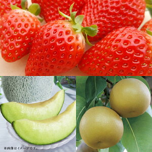 yӂ邳Ɣ[Łzyt[c3ցz ̂i1kgjEAfXi5kgjEi5kgj 䂤ׂ  C`S  ߂ Ȃ iV   ʕ ʎ t[c ① F{