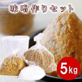 楽天市場 味噌作り 容器 5kgの通販