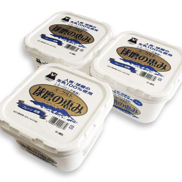 とろ〜り食感 球磨の恵みヨーグルト 加糖タイプ 1kg×3パック お届け時期 チーズ・乳製品 | diamondkuafor.com