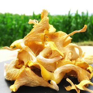 【ふるさと納税】うま味が魅力の 「花咲たもぎ茸」(乾燥タイプ)100g×1袋 たもぎ茸 乾燥 きのこ【お届け時期:入金確認後2ヶ月前後】