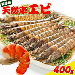 yӂ邳Ɣ[Łz VR ԊCV N}Gr Ⓚ  400g i8 ` 16 j Y B F{ V k CV   Y CY ѓV VՂ уtC  VƋgkx
