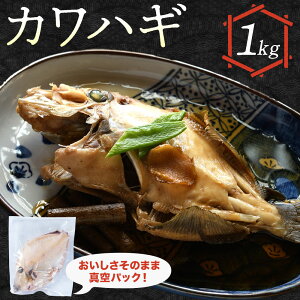 yӂ邳Ɣ[ŁzςɓɎ|JnM Xs30ȓɏoח\(yj)t JnM Ⓚ g ς CY V k F{ yzsn悠z