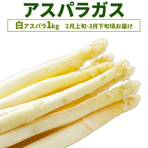 【ふるさと納税】アスパラガス 選べる グリーン ホワイト 春アスパラ 夏アスパラ 1束 100g 10束 高橋商店《選べる出荷時期》熊本県 苓北町 野菜 アスパラ アスパラベーコン