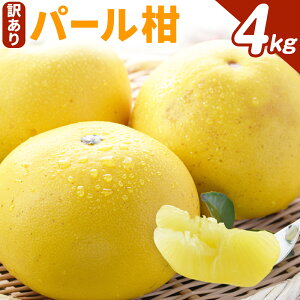 yӂ邳Ɣ[Łz󂠂 p[ 4kg sCX݂񐶎Y҃O[vs3{-4{oח\tF{ k ݂ ʕ t[c