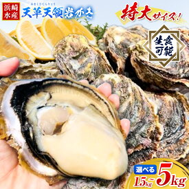 【ふるさと納税】ふるさと納税総合ランキング入賞 牡蠣 カキ 天草天領 岩かき 特大 選べる 容量 約 1.5kg 2.5kg 5kg 《4月上旬-8月上旬頃出荷》海鮮 海産物 シーフード 魚貝類 かき 岩かき 岩牡蠣 夏牡蠣 生食用 生もの 濃厚 熊本県 苓北町 浜崎水産【配送不可地域あり】