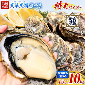 【ふるさと納税】先行予約 ふるさと納税総合ランキング入賞 牡蠣 カキ 天草天領 岩かき 特大 選べる 容量 約 1.5kg 2.5kg 5kg 《2026年4月上旬-7月末頃出荷予定》海鮮 海産物 シーフード 魚貝類 かき 岩牡蠣 夏牡蠣 生食用 熊本県 苓北町 浜崎水産【配送不可地域あり】