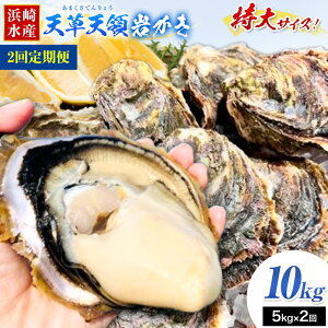 【ふるさと納税】先行予約 ふるさと納税総合ランキング入賞 牡蠣 カキ 天草天領 岩かき 特大 選べる 容量 約 1.5kg 2.5kg 5kg 《出荷時期をお選びください》海鮮 海産物 シーフード 魚貝類 かき