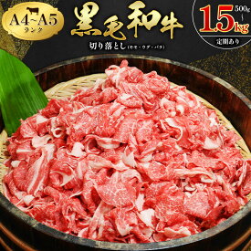 【ふるさと納税】 牛肉 黒毛和牛 切り落とし 小分け 選べる 500g 1kg 1.5kg A4 A5 定期便 あり 田中畜産 《30日以内に出荷予定(土日祝除く)》 熊本県 苓北町 ミシュラン ビブグルマン 国産 肉 黒毛 和牛 赤身 カレー 肉じゃが 牛丼 煮込み 便利 使い勝手抜群 天草 産地直送