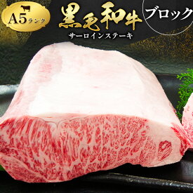 【ふるさと納税】牛肉 黒毛和牛 サーロインステーキ 選べる内容量 1枚 約300g ブロック 約3kg ステーキソース付 田中畜産《30日以内に出荷予定(土日祝除く)》 熊本県 苓北町 A4 A5 ランク 国産 肉 ステーキ 黒牛 天草 苓北 熊本 産地直送 送料無料