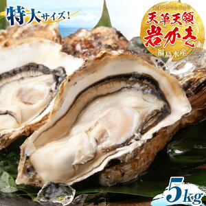 yӂ邳Ɣ[Łzs\ y JL V ≲y Iׂe 1.5kg 2.5kg 5kg s2026N4{-7oח\tF{ k  JL KL L BIG rbO H o[xL[ ēV V