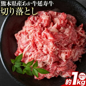 yӂ邳Ɣ[ŁzF{Y  u--v ؂藎Ƃ 1kg ЃGCgs30ȓɏoח\(yj)tF{ k   ؂藎Ƃyzsn悠z