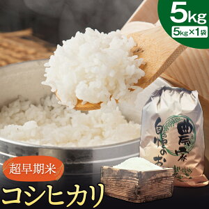 �y�ӂ邳�Ɣ[�Łz �������� �R�V�q�J�� �����Ђ��� 5kg �� ������ �V�� ��k �c���t�@�[���s30���ȓ��ɏo�ח\��(�y���j����)�t ���Y ��B �F�{ �F�{���Y