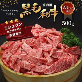 【ふるさと納税】 焼肉 BBQ 黒毛和牛 ロース カルビ 切り落とし 500g A4 ～ A5 ランク ミシュラン ビブグルマン 獲得店舗 ランプ ミスジ イチボ 特上 アウトドア キャンプ BBQ にく 肉 牛肉 黒牛 天草 苓北 熊本 産地直送 楽天ふるさと 高級肉 数量限定 0.5kg