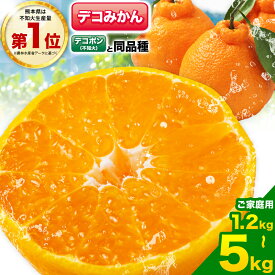 【ふるさと納税】不知火 デコみかん ( デコポン と同品種 ) ご家庭用 訳あり 熊本県産 ( 苓北町産含む )約1.2kg(3-6玉前後) or 3.5kg(8-16玉前後) or 約5kg (12-24玉前後) 柑橘 《2026年2月上旬-3月末頃出荷》 みかん フルーツ 不知火 訳アリ でこみかん 果物 5kg