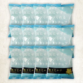 【ふるさと納税】焼じゃが うすしお味 (12袋) ポテトチップス ポテチ ヘルシー うすしお じゃがいも スナック おやつ お菓子 菓子 おつまみ 常温 ノンフライ【opbg001】【テラフーズ】