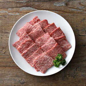 yӂ邳Ɣ[Łza A4NȏI Jr ē (250g) Y   ቷn a Jr Ă Ⓚyopah019zylNTz