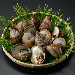 yӂ邳Ɣ[ŁzeʂIׂ遄w}ɂ (1kg or 2kg)  L ɂ ji CN o[xL[ yopba012Eopba013zyCׁz