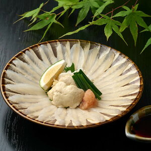 yӂ邳Ɣ[Łz eʂIׂ遄 啪Y JnM hg Zbg (160g or 280g) ͂ hg  Ⓚ  Y yopbe003Eopbe004zyz