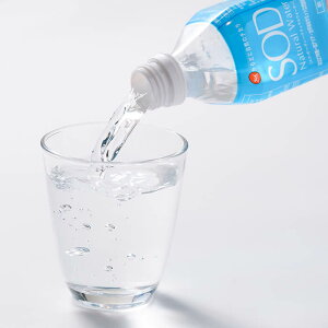 yӂ邳Ɣ[Łz͂񐔂Iׂ遄i` EH[^[ SOD 500ml (v24{`288{)  Y    ~l hN  ybg{g h ~ AEghA 퉷 yopbz007Eopb