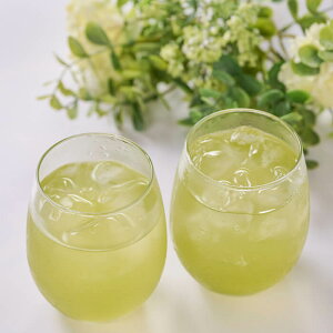 【ふるさと納税】 <内容量が選べる!> マリンレモン 緑茶 (4袋 or 6袋・1袋:2g×6個) お茶 ティーバック レモン ティー 防災 常温 【opbz014・opbz015】【さいき本舗 城下堂】