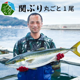 楽天市場 ブリ 1尾の通販
