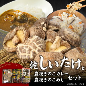 yӂ邳Ɣ[Łz啪YƖLカ̂J[ƖLカ̂߂ lߍ킹 啪 Yi LmR ǂ  VC^P Hi ggJ[ ggHi  
