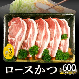 【ふるさと納税】米の恵み ロースかつ 約120g×5枚 豚 豚肉 お肉 とんかつ 国産 ブランド豚 ロース 精肉 冷凍 オレイン酸 食品 グルメ ギフト 贈答用 肉料理 お肉 トンカツ 揚げ物 おかず 5枚セット 米の恵み 極上 甘み カツカレー ソテー 肉厚 トンテキ A02011