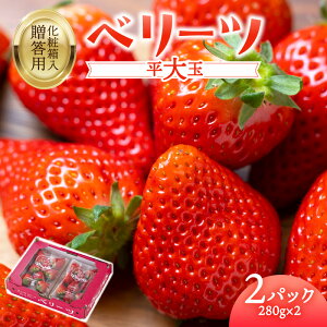 yӂ邳Ɣ[Łzys\2026N2{蔭Jnz啪 uh  x[c  280g×2pbN  C`S 啪Y Xgx[ ʕ t[c XC[c  Vi 