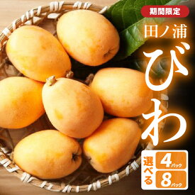 【ふるさと納税】【期間限定】2025年発送！ 田ノ浦びわ 【選べる内容量】 約1.08kg(270g×4パック)～ 数量限定 びわ 枇杷 果物 フルーツ 甘い 大容量 季節限定 旬 デザート 国産 大分産 長崎早生 茂木 なつたより おやつ たっぷり ジャム お取り寄せ 高級 C07013 C07014
