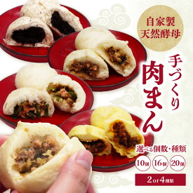 【ふるさと納税】自家製天然酵母 手づくり肉まんセット【選べるセット内容】2種10個セット～ 個包装 レンチン 簡単 調理 手軽 天然酵母 国産 大分産 にら ニラ 惣菜 豚まん 中華まん あんまん 食べ比べ 詰め合わせ 冷蔵 おやつ 朝食 J07009 J07010 J07011