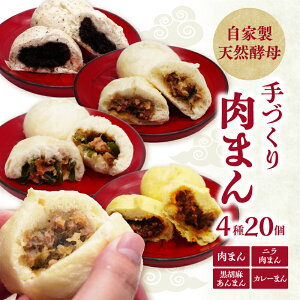 【ふるさと納税】自家製天然酵母 手づくり肉まんセット【選べるセット内容】2種10個セット〜 個包装 レンチン 簡単 調理 手軽 天然酵母 国産 大分産 にら ニラ 惣菜 豚まん 中華まん あんま