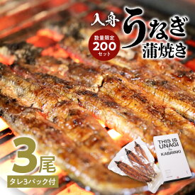 【ふるさと納税】入舟 うなぎ 蒲焼き ウナギ 鰻 3尾 タレ付き 数量限定 かば焼き うな重 うな丼 お茶漬け ひつまぶし 酒の肴 土用丑の日 丑の日 継ぎ足しのタレ スタミナ ミシュラン お取り寄せ お取り寄せグルメ 冷凍 E07004