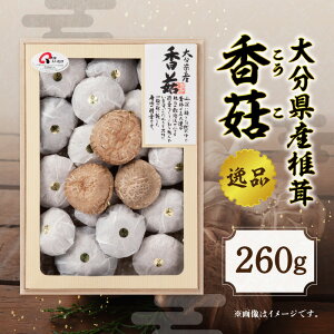 yӂ邳Ɣ[Łz啪Yő  iyIׂeʁz80g` Y 啪Y 啪  VC^P  ケ Yi   i Mtg  蕨 v[g ϔ