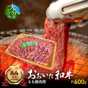 yӂ邳Ɣ[Łzaēp 600g јa 4ȏ  uh    ē  Y L㋍ a ɏ 蕨  Mtg Hi Ⓚ 啪s