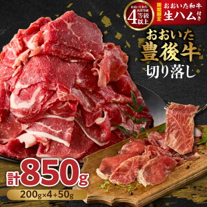 【ふるさと納税】【期間限定】おおいた豊後牛切り落し 200g×4P+おおいた和牛生ハム 50g×1P 切り落とし 小分け 牛肉 肉 黒毛和牛 おおいた豊後牛 おおいた和牛 生ハム すき焼き 肉じゃが 牛丼