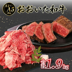 yӂ邳Ɣ[ŁzIA4`A5 a 1|hubNE؂藎ƂZbg v1.9kg Xe[L [Xgr[t ē |h  _炩 J[ V`[ Mtg a ~ 