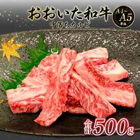 【ふるさと納税】厳選A4〜A5等級 おおいた和牛 中落ちカルビ 500g バラ肉 お肉 希少部位 濃厚 焼肉 中落ち カルビ 和牛 黒毛和牛 A4等級 A5等級 冷凍 バーベキュー BBQ A4ランク A5ランク 焼き肉 希少 牛バラ 豊後牛 牛肉 肉料理 九州 大分 ギフト のし A01133