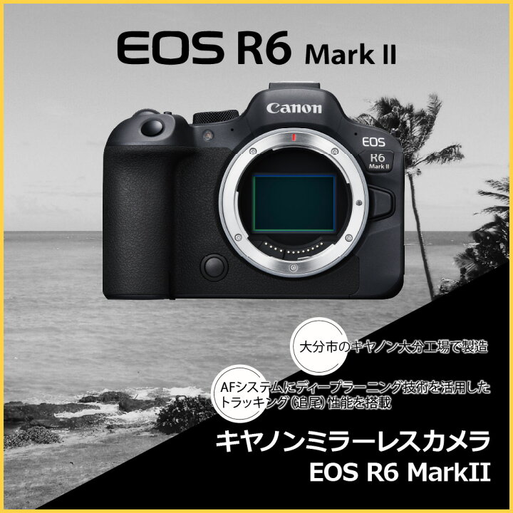 楽天市場】【ふるさと納税】キヤノン ミラーレスカメラ EOS R6 Mark II 