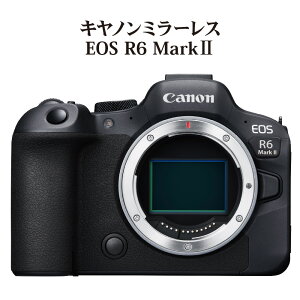 yӂ邳Ɣ[ŁzLm ~[XJ EOS R6 Mark II Ɠd ʐ^  Ki gbLO ~[X Canon Lm J ~[X Be 2420f LOBe AEghA ^ 