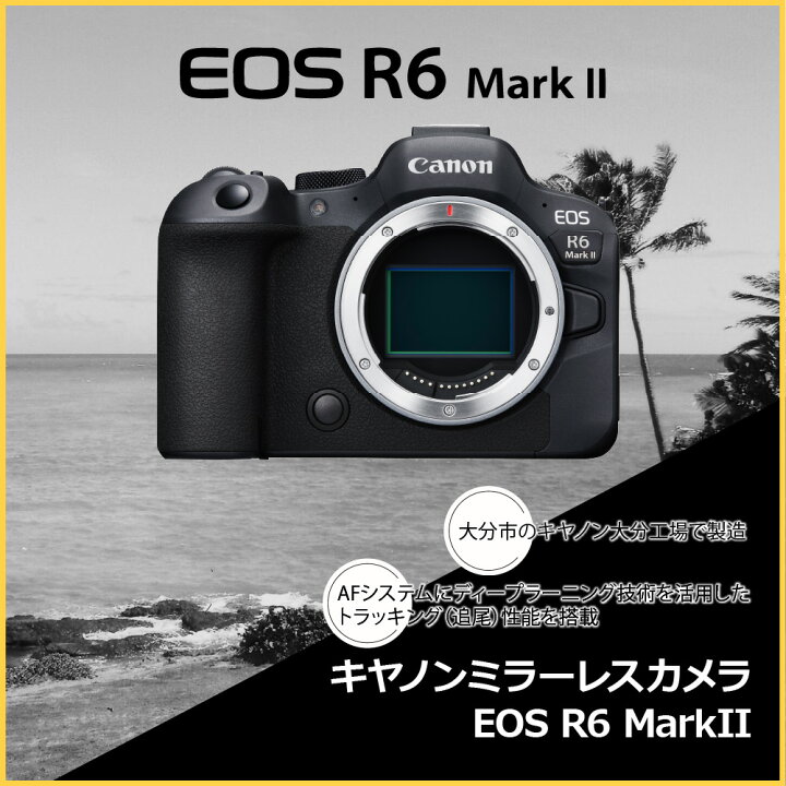 楽天市場】【ふるさと納税】キヤノン ミラーレスカメラ EOS R6 Mark II 