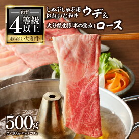 【ふるさと納税】おおいた和牛認定店はしづめ A4等級以上「おおいた和牛」300gと大分県産豚「米の恵み」200gのしゃぶしゃぶセット おおいた和牛 豊後牛 A4等級 大分県産 大分産 豚肉 ブランド牛 ブランド豚 牛ウデスライス ウデ肉 ロース 豚ロース ローススライス A01138