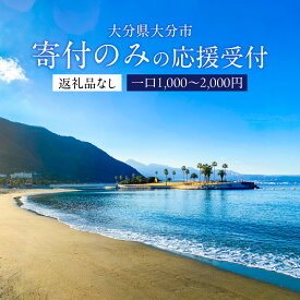 【ふるさと納税】大分県大分市 返礼品なし（寄附のみの受付となります） 一口1,000円〜