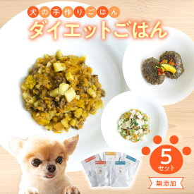 【ふるさと納税】ドッグフード 5点 セット 無添加 ダイエット お肉 野菜 お魚 ごはん 鹿肉 ハンバーグ 鹿肉のラグー マグロソテー レトルト 犬 手作り 常温 ペット パック カロリー制限 ペットフード 大分県 送料無料 R15008