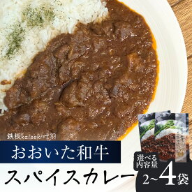 【ふるさと納税】おおいた和牛 スパイスカレー【選べる内容量】2袋～ レトルト レンジ レンチン 湯煎 食事 おおいた和牛 国産 辛口 スパイシー 牛肉 牛すじ肉 牛スープ プレゼント 贈答 鉄板kaiseki 叶羽 K03037