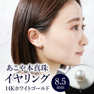 yӂ邳Ɣ[ŁzyIׂTCYz {^CO ^7.0mm/7.5mm/8.0mm/8.5mm 14KzCgS[h {^  Mtg v[g WG[ ANZT[  ^ p[