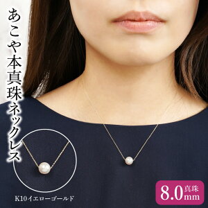 yӂ邳Ɣ[ŁzK10{^lbNX ^8.0mm CG[S[h/zCgS[h S40cm ANZT[ Vv ItBX  i IP[W p[lbNX  v